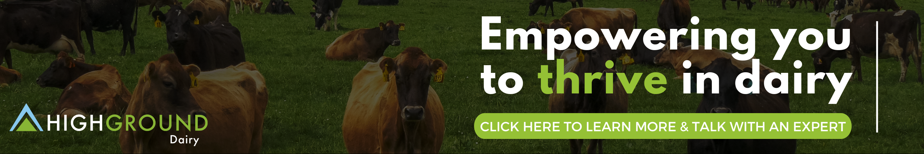 Empowering you to THRIVE in dairy | Click here to learn more & talk with an expert