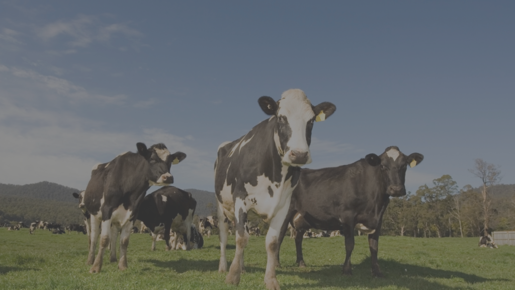 Weekly EU Dairy Commodity Prices 23 October 2024 HighGround Dairy