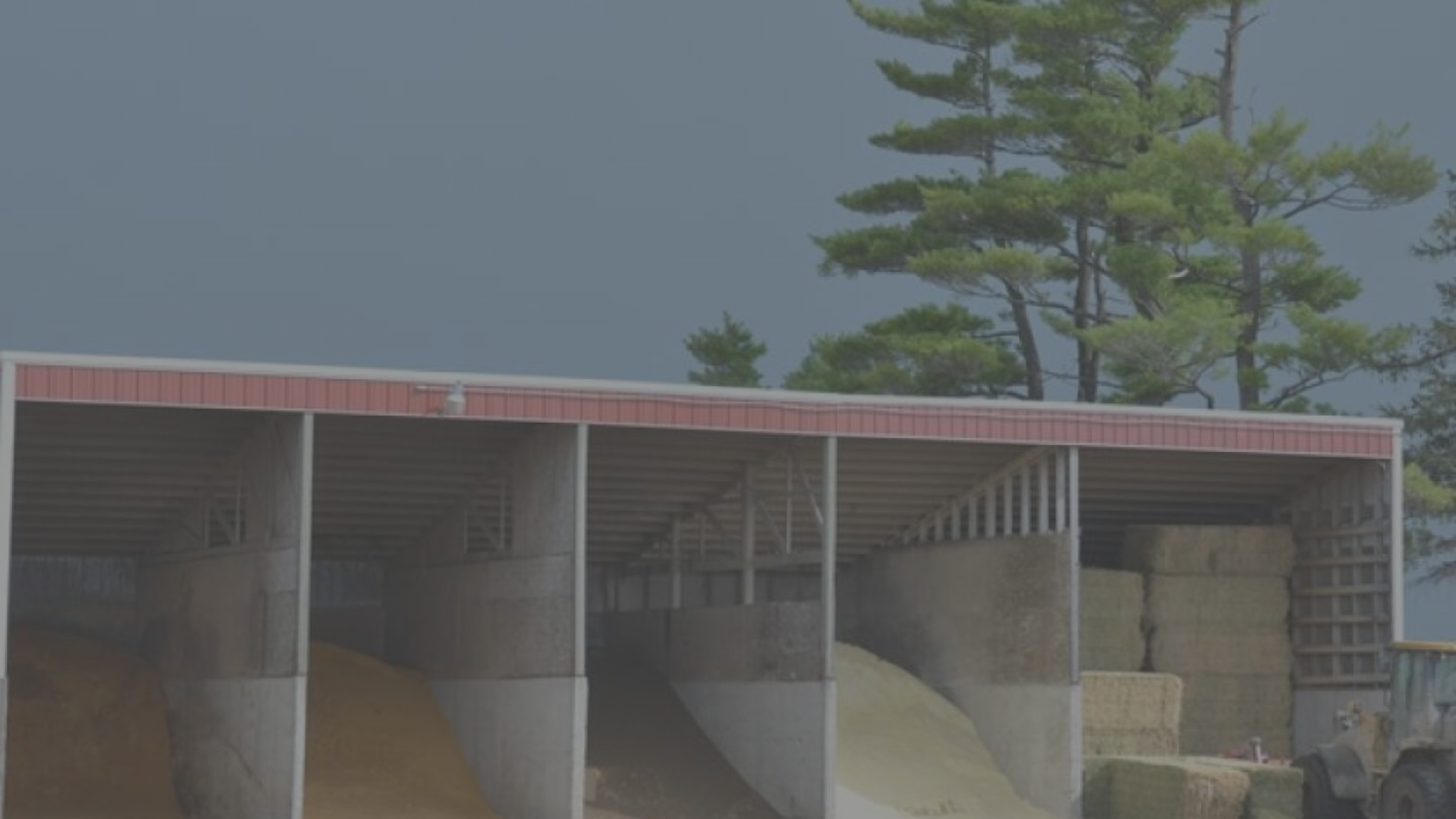 Micro Grain Futures: A New Hedging Tool for Dairy Producers