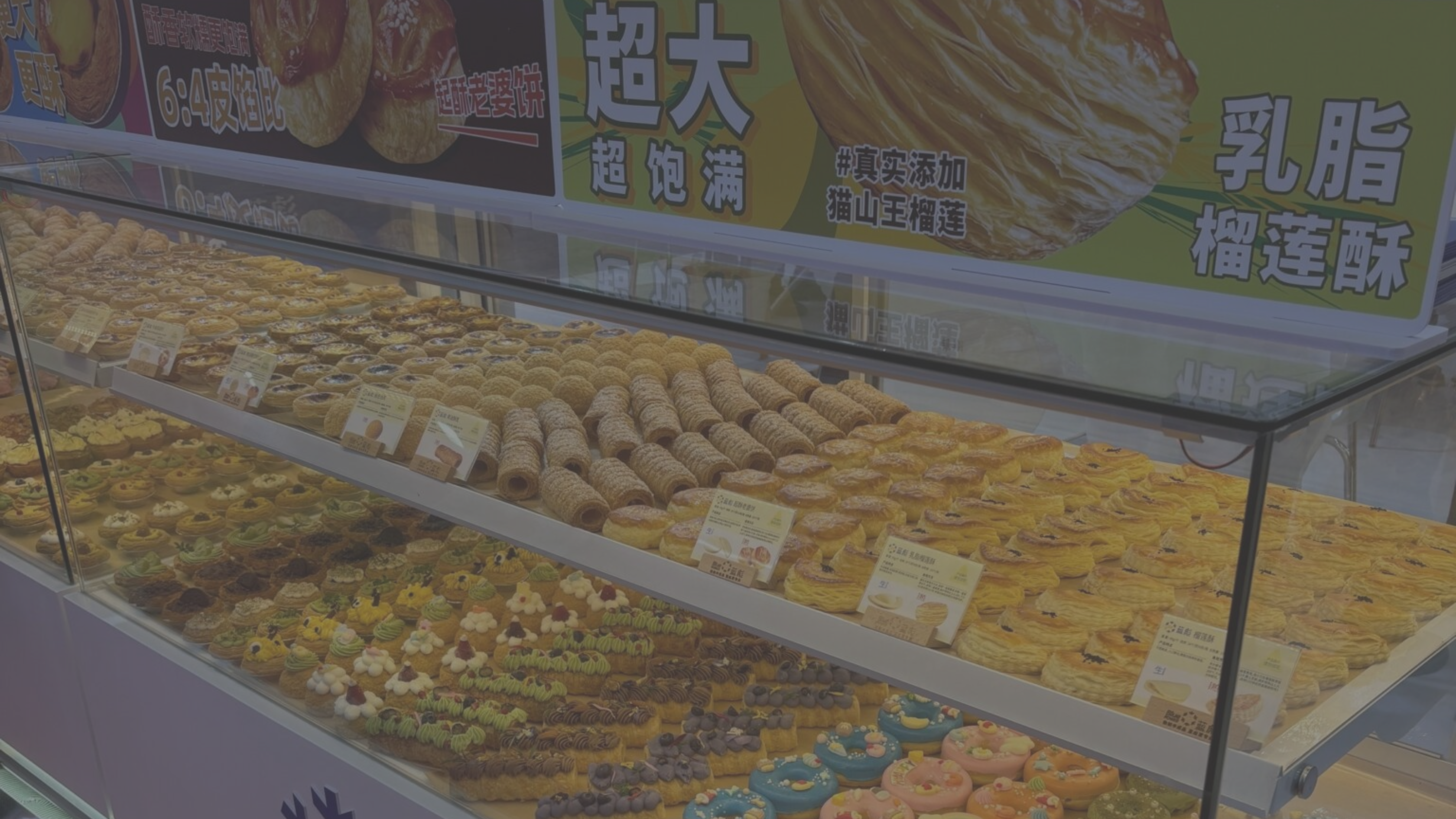 China, Part 1: Wuhan Bakery Expo